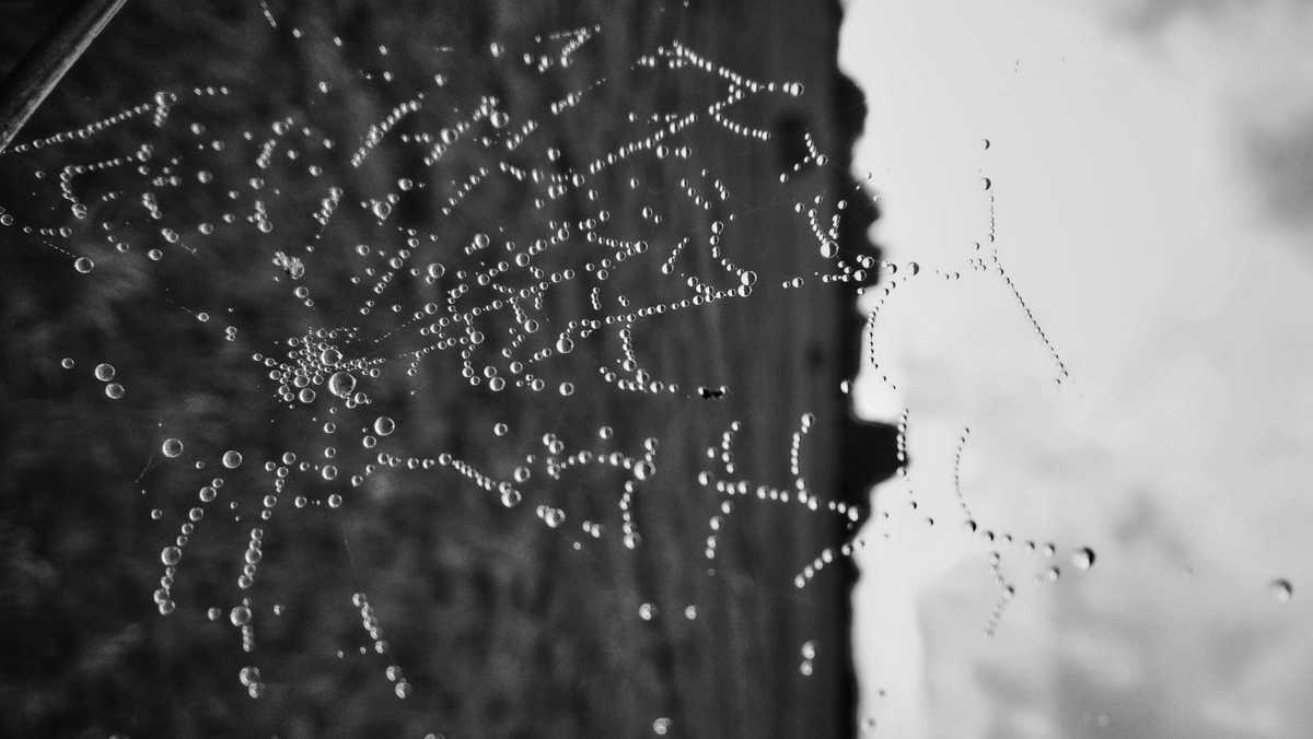 TexMindMapper - visualise your thesis